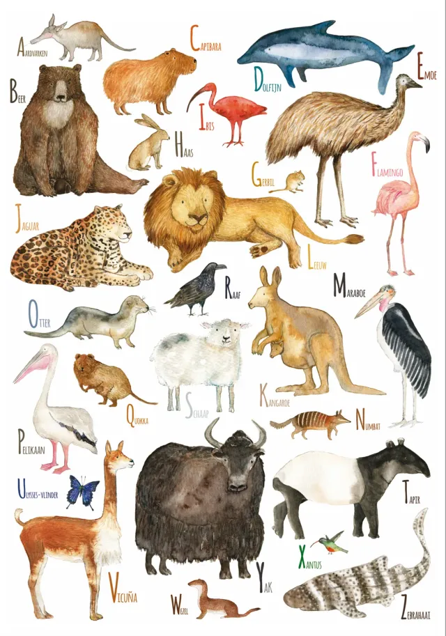 Hartendief Dieren ABC poster A2 Nederlands papier