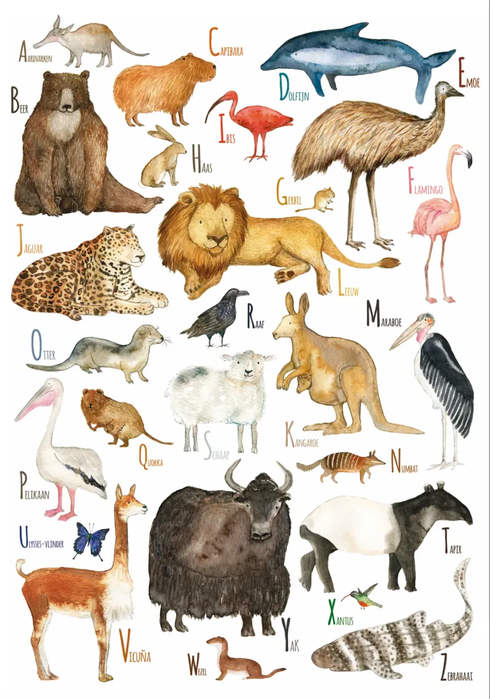 Hartendief Dieren ABC poster A2 Nederlands papier