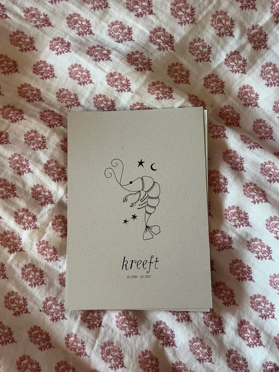 Het Kleijne Droomhuis Atelier Fabel Kreeft poster A5 bermgras