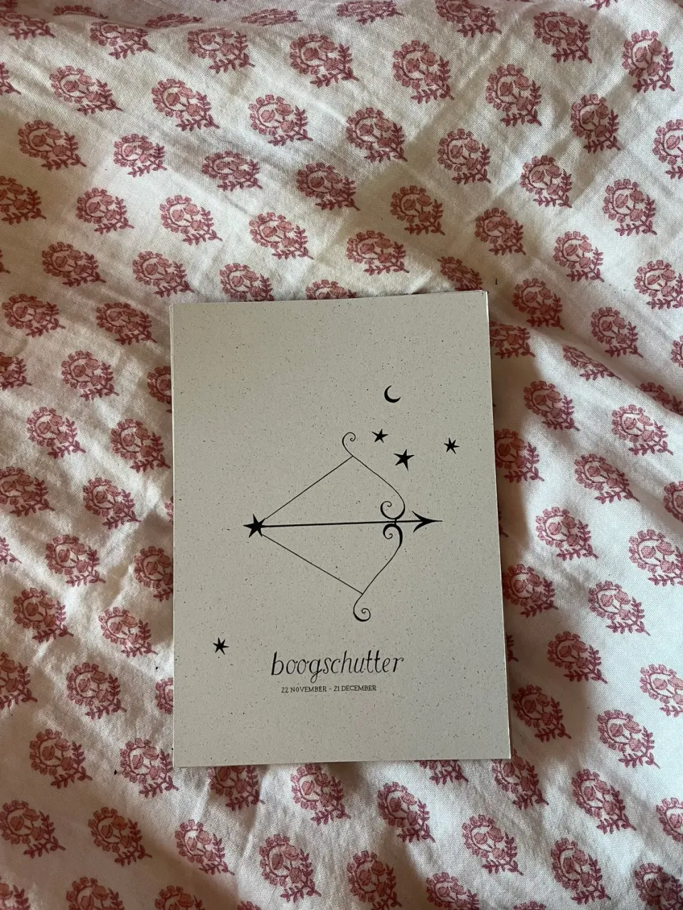 Atelier Fabel Boogschutter poster A5 zonder lijst bermgras