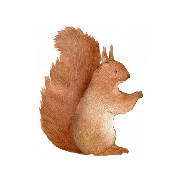 Hartendief Eekhoorntje muursticker 50x40 cm mat vinyl