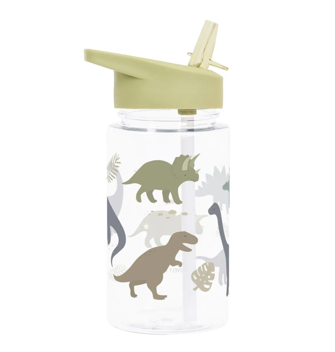 A Little Lovely Company Dinosaurussen drinkfles 450 ml