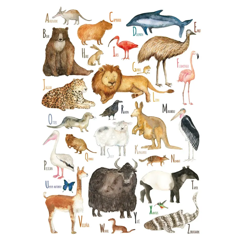 Hartendief Animal ABC poster Engels A2 dieren